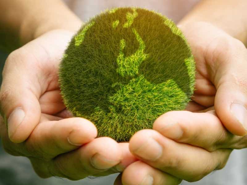 La sostenibilità come opportunità di business