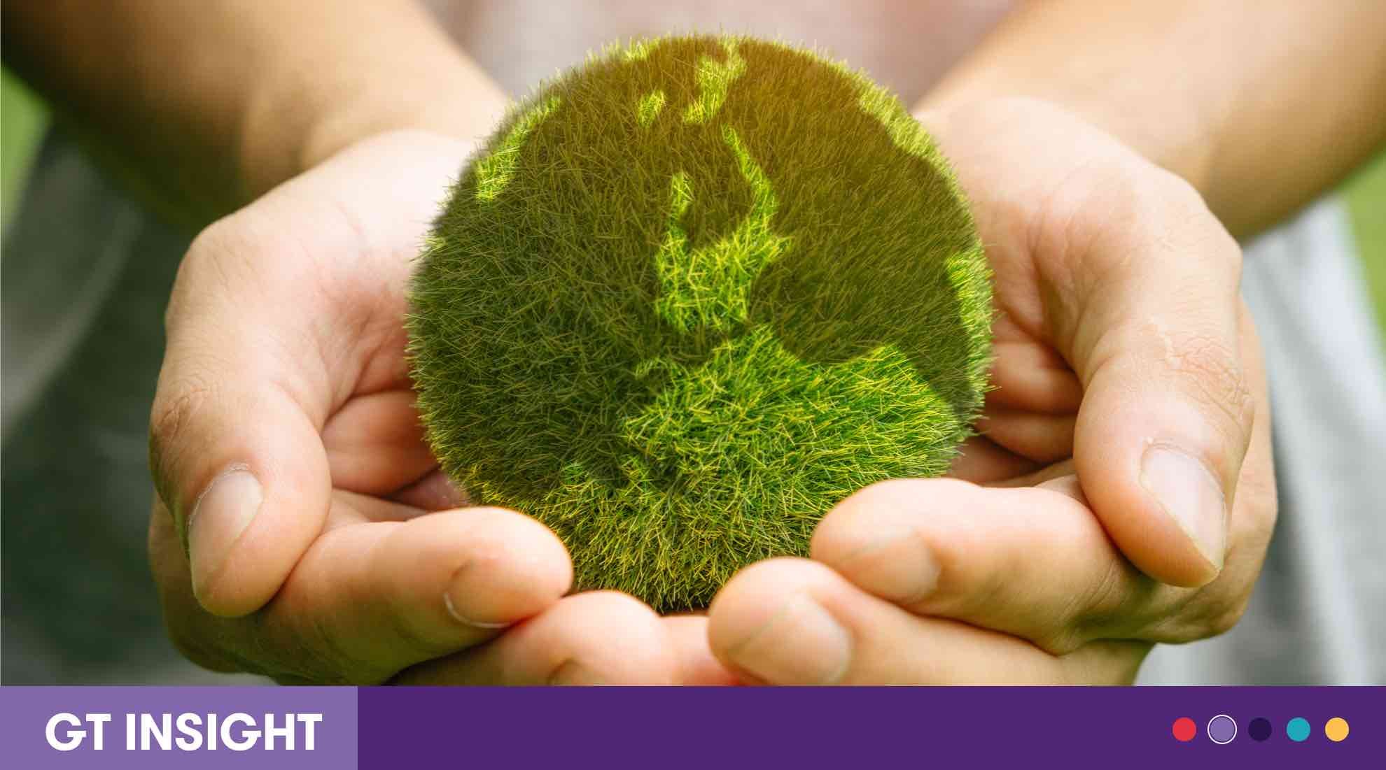 insight featured image