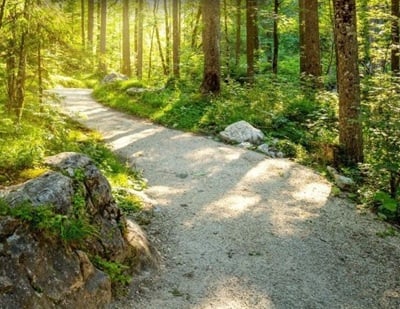 Bilancio di Sostenibilità di Grant Thornton Consultants