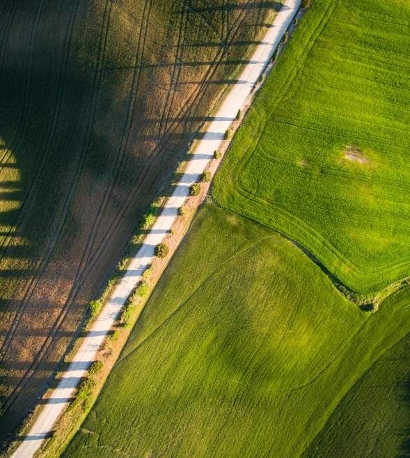 Da obbligo normativo a leva strategica: la rendicontazione sostenibile evolve