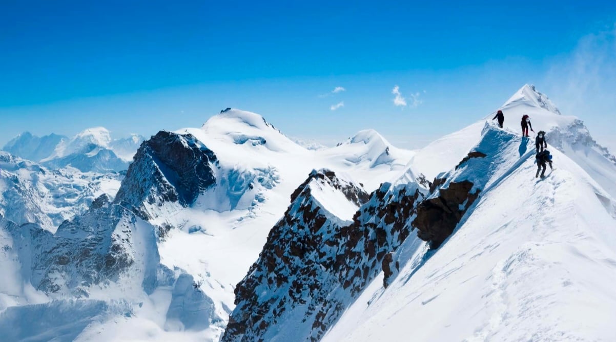 insight featured image