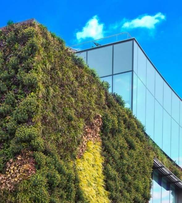 Le assicurazioni italiane e la comunicazione finanziaria ESG