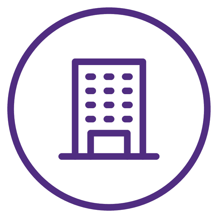 grant thornton experience