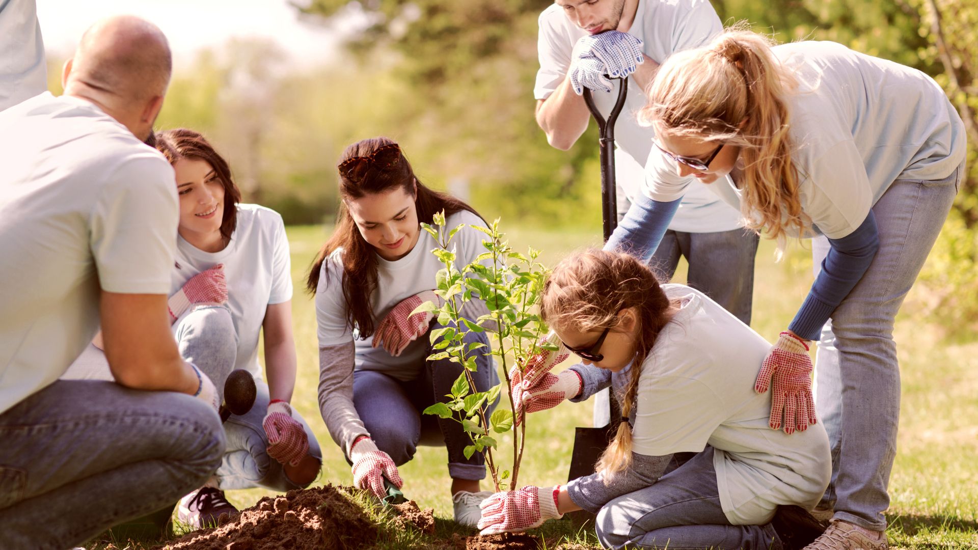 csr ria grant thornton